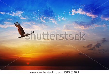 POTUS MAIDEN TRIP TOP