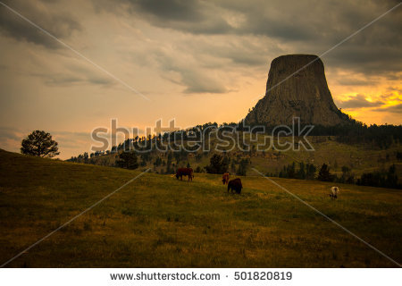 REPLACEMENT FOR WEB PAGE - 1